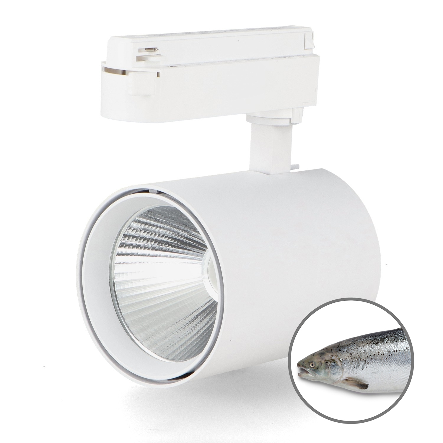 Faretto Led Air Bianco 30W No Flicker Per Binario Monofase - Pesce